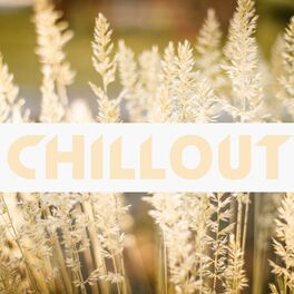 Album cover of Chillout