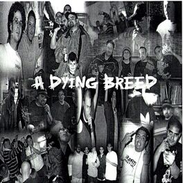 Album cover of Low Budget Rukus