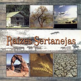 Album cover of Raízes Sertanejas