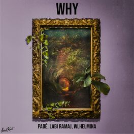 Album cover of Why (with WLHELMINA)