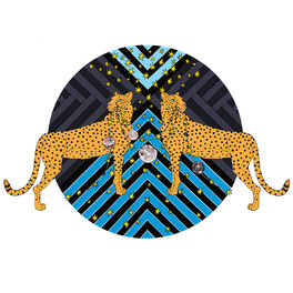 Album cover of Echo