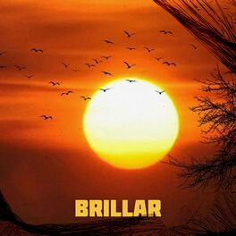 Album cover of Brillar (feat. Sog)