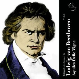 Album cover of Ludwig van Beethoven: Intégrale des sonates, Vol. 3
