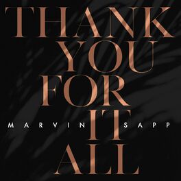 Album cover of Thank You For It All