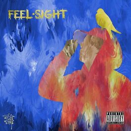 Album cover of Feel & Sight