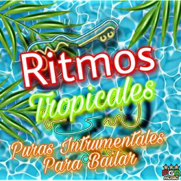 Album cover of Puras Instrumentales Para Bailar