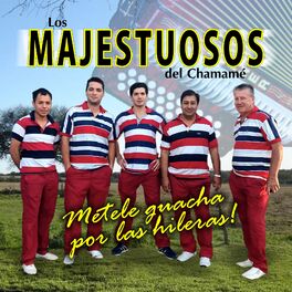 Album cover of Metele Guacha por las Hileras