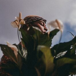 Album cover of No Fool