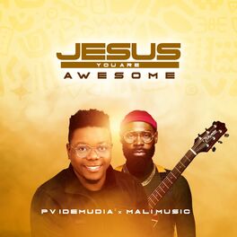 Album cover of Jesus You Are Awesome