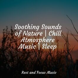 Album cover of Soothing Sounds of Nature | Chill Atmosphere Music | Sleep