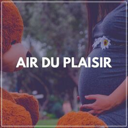 Album cover of Air du Plaisir