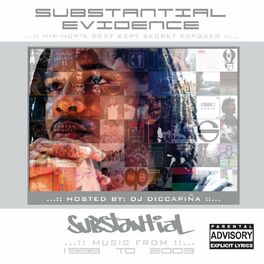 Album cover of Substantial Evidence (1999-2003)