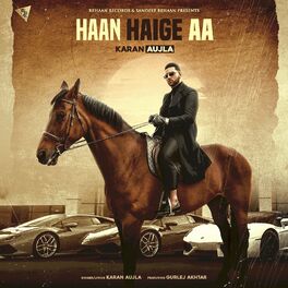 Album cover of Haan Haige Aa