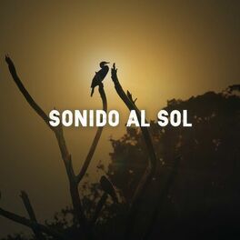 Album cover of Sonido al sol