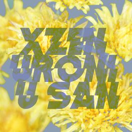 Album cover of Uroni u san