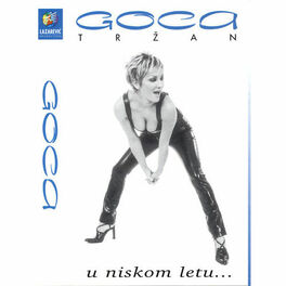 Album cover of U Niskom Letu