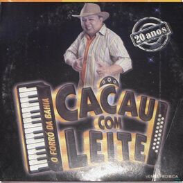 Album cover of 20 Anos no Forró da Bahia
