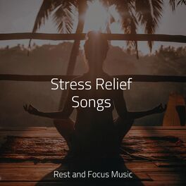 Album cover of Stress Relief Songs