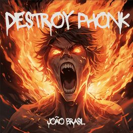 Album cover of Destroy Phonk