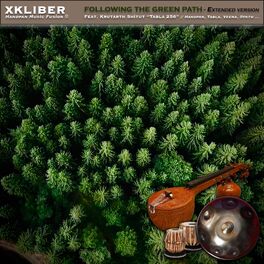 Album cover of Following the Green Path (Handpan, Tabla, Veena, Synth, Natural soundscapes) [feat. Krutarth Shitut & Tabla 256]