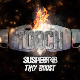 Album cover of Torch