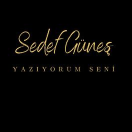 Album cover of Yazıyorum Seni