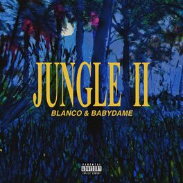 Album cover of Jungle II