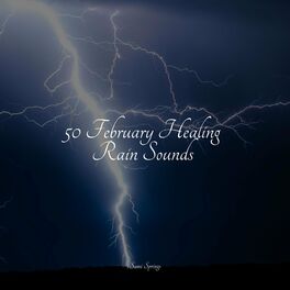 Album cover of 50 February Healing Rain Sounds