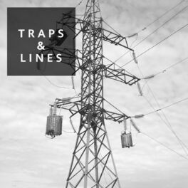 Album cover of Traps & Lines
