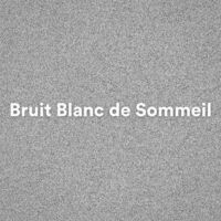 Bruit Blanc Pur: Sommeil Profond 250 Hz - Album by Meilleur Bruit