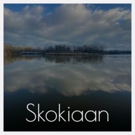 Album cover of Skokiaan