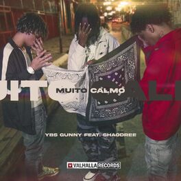 Album cover of Muito Calmo