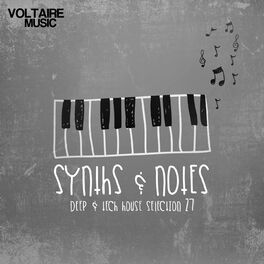 Album cover of Synths and Notes 27