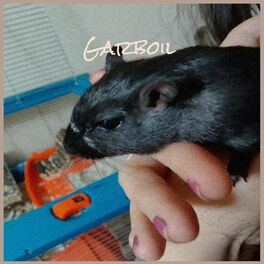 Album cover of Garboil