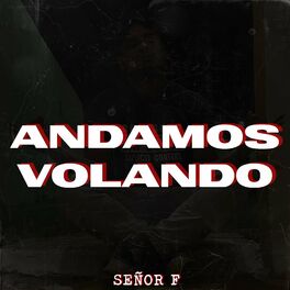 Album cover of Andamos Volando