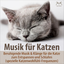 Album cover of Musik für Katzen - Beruhigende Musik & Klänge für die Katze zum Entspannen und Schlafen (spezielle Katzenwohlfühl-Frequenzen)