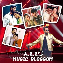 Album cover of A.R.R Music Blossom