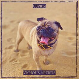 Album cover of CSPK14