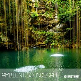Album cover of Ambient Soundscapes, Vol. 30