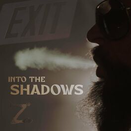 Album cover of Into The Shadows
