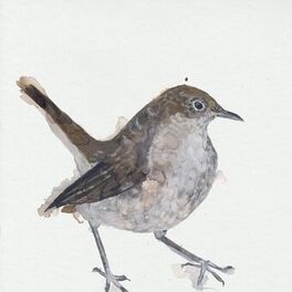 Album cover of Nightingale Wake Up Calls