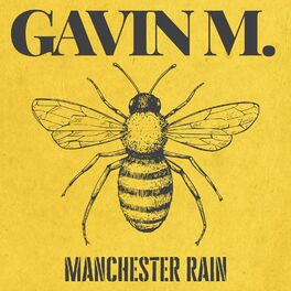 Album cover of Manchester Rain