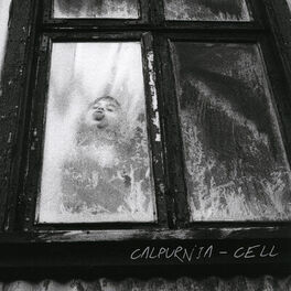 Album cover of Cell