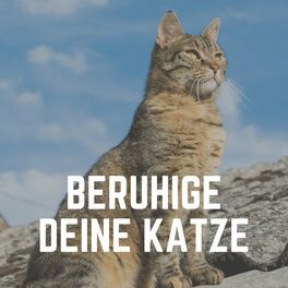 Album cover of Beruhige Deine Katze