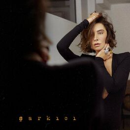 Album cover of şarkıcı