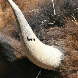 Album cover of horn