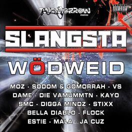 Album cover of Slangsta Wödweid