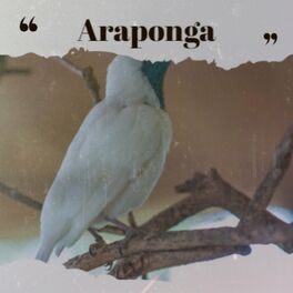 Album cover of Araponga