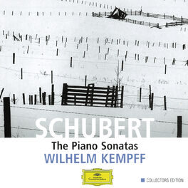 Album cover of Schubert: The Piano Sonatas