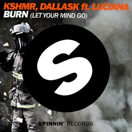 Album cover of Burn (Let Your Mind Go) [feat. Luciana]